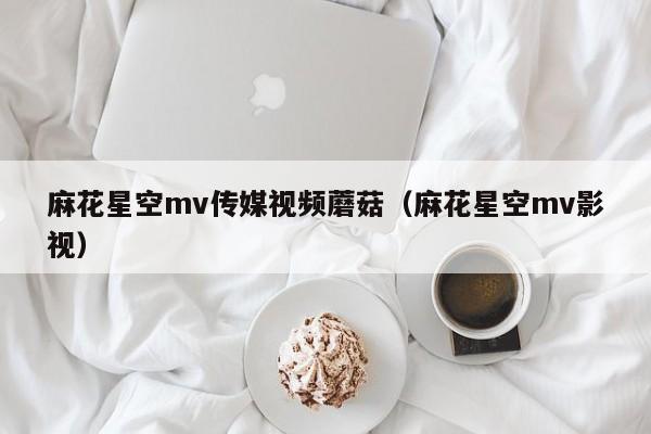 麻花星空mv传媒视频蘑菇（麻花星空mv影视）